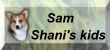 Sam - Shani's kids